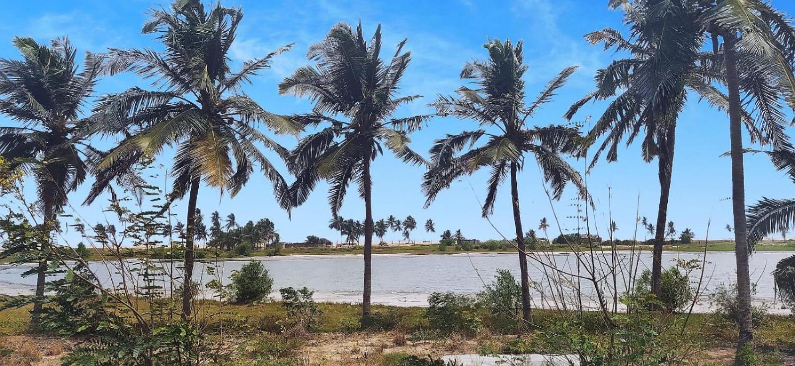 A&Y Wild Camp Ghana Keta Esterno foto