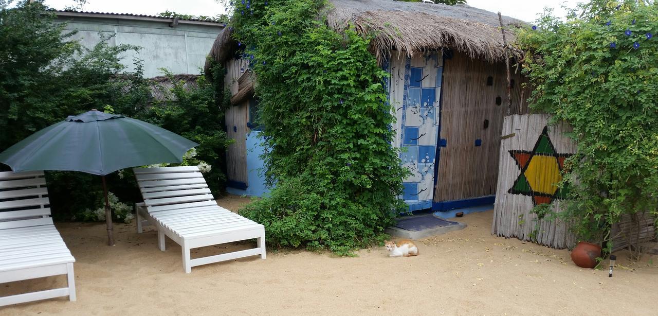 A&Y Wild Camp Ghana Keta Esterno foto