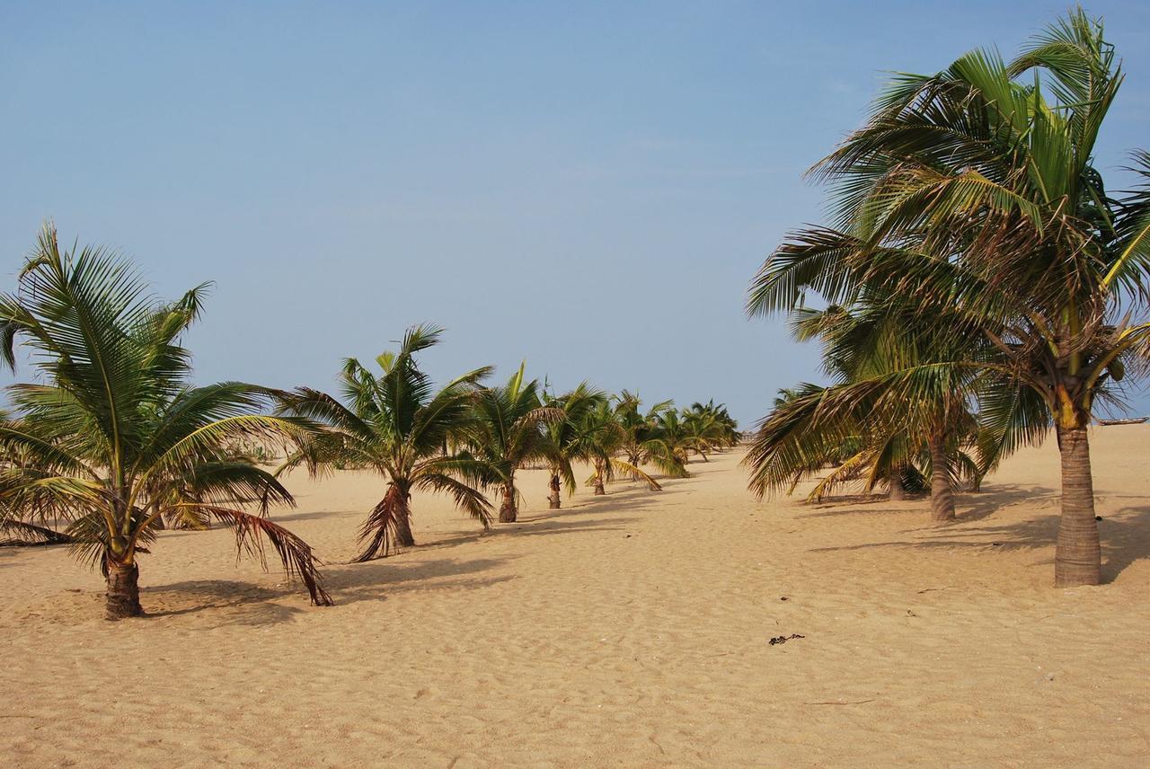 A&Y Wild Camp Ghana Keta Esterno foto